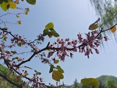 -西安祥峪森林公园