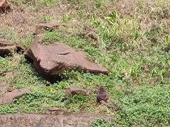 -赤水丹霞旅游区·佛光岩