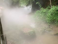 -川西竹海景区