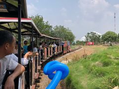 -武汉紫薇都市田园