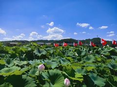 -古田会议纪念馆