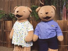 -济州岛泰迪熊博物馆