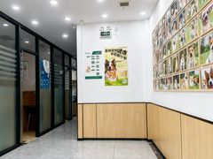 -瑞派雷欧宠物医院·24h夜诊·心脏骨科牙科·全科重症转诊中心(无影山店)