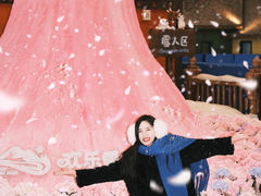 -湘江欢乐城欢乐雪域