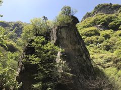 -少华山国家森林公园