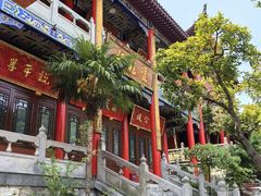 -黔灵山公园