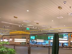 -润园四季椰子鸡火锅(南山海岸城店)