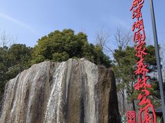 -合肥滨湖国家森林公园
