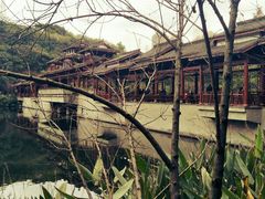 -重庆彩云湖湿地公园