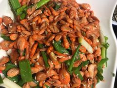 炒河虾-鱼窝棚柴火铁锅炖(富山屯店)