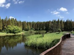 -黄海国家森林公园