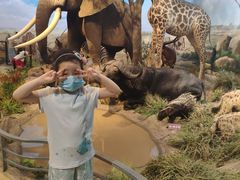 -陕西自然博物馆