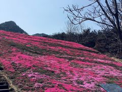 -昆嵛山石门里景区