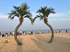 -日照海滨国家森林公园
