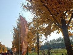 -汉景帝阳陵博物院
