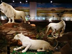 -陕西自然博物馆