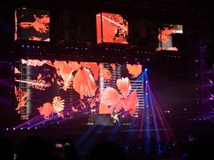 -南京奥林匹克体育中心-体育馆