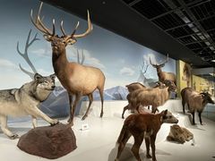 -陕西自然博物馆