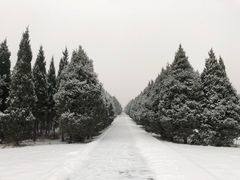 -秦始皇帝陵博物院-丽山园