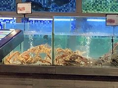 水产区-上座·餐厅(阳光100店)