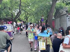 -北京国子监胡同
