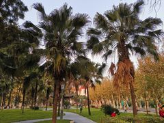 -四川大学(望江校区)