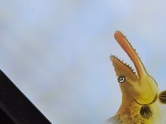 -徽三说·土徽菜·中国徽菜连锁品牌(一中店)