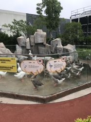 -造物庄园 萌宠纪(苏州湾歌林公园店)