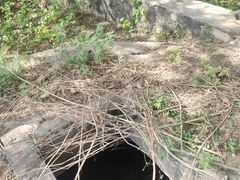 -大觉寺-停车场