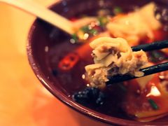 红油抄手-龙抄手(春熙路总店)