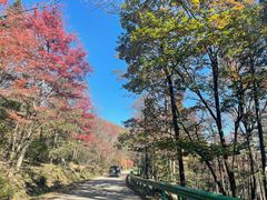 -老秃顶草原景区