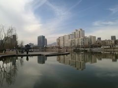 -雁滩公园