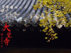 -大觉寺-停车场