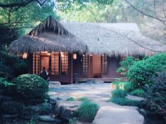 -中国茶叶博物馆(双峰馆区)