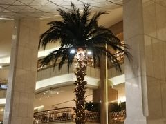 -上海大酒店-自助餐餐厅