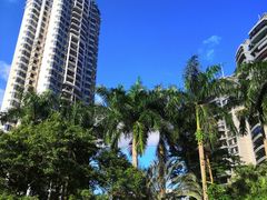 -深圳市人才园(深南大道店)