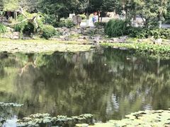景点-灵谷景区