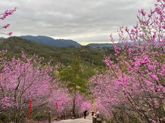 -天台山赤城山景区