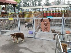 -萌宠亲子动物乐园(槐房万达店)