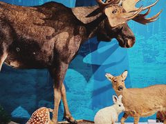 -中国湿地博物馆