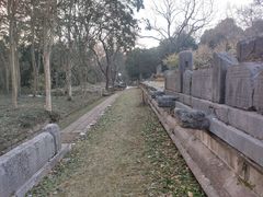 -紫金山山顶公园