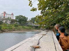 -东兴口岸-中越友谊大桥