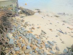 -东姑阿都拉曼海洋公园