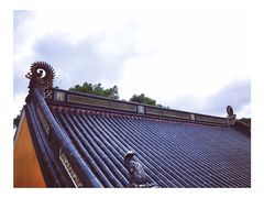 -普陀山风景名胜区-法雨禅寺