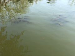 -酷鱼垂钓CLUB(朝阳区博大路店 )