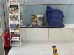 -纳吉亚猫专科动物诊疗中心(蒋宅口分院)