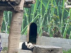 -南昌动物园
