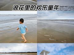 -日照海滨国家森林公园