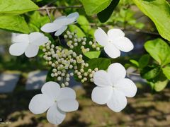 -江南大学(蠡湖校区)