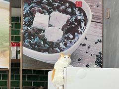 -豆豆冰室·地道招牌椰子冻(大良店)